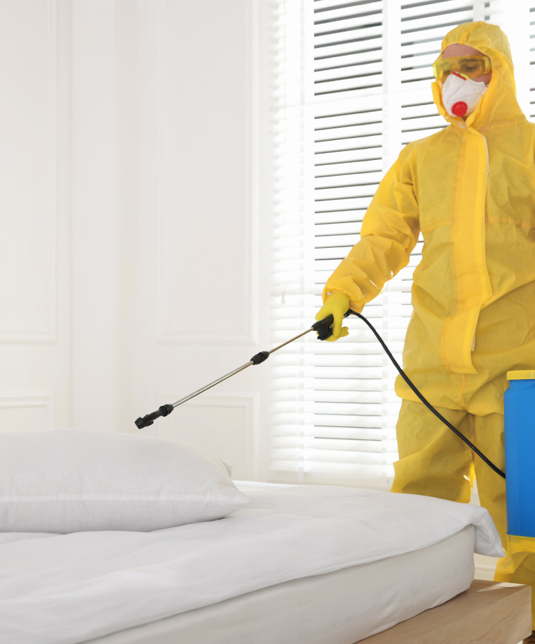 Professional Pest Control Team in Marleston
